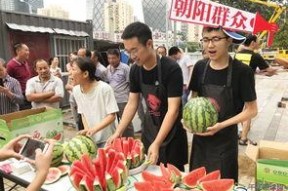 朝阳群众吃瓜网站官网,吃瓜网站背后的社区力量