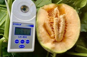 今日吃瓜合集,娱乐圈风云再起，热点事件盘点