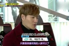 娱乐综艺吃瓜儿小说,吃瓜小说里的娱乐圈秘闻