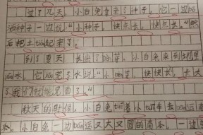 吃瓜大赛作文600字,一场舌尖上的吃瓜大赛