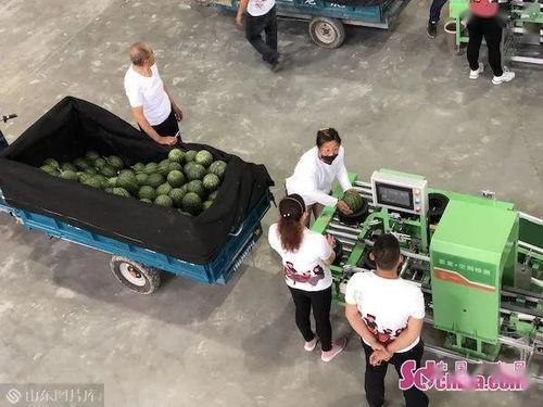 网购翻车现场带你吃瓜,一场惊心动魄的“吃瓜”大戏